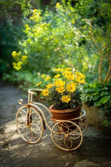 Monica Appartamento Con Giardino Al Ponte Vecchio Φλωρεντία Εξωτερικό φωτογραφία